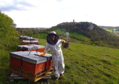 Rucher pollen de printemps